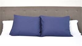 Snoozing taies d'oreiller coton 57 fils (lot de 2)