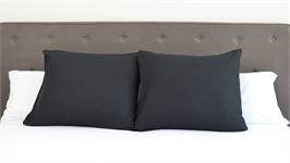 Snoozing taies d'oreiller coton 57 fils (lot de 2)