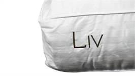 Polydaun Liv oreiller synthétique medium