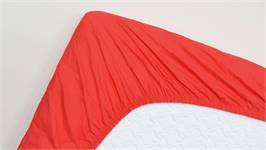 Snoozing drap-housse coton