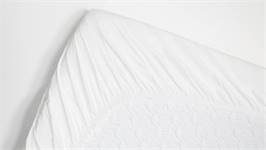 Snoozing drap-housse coton