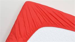 Snoozing drap-housse grand bonnet coton 57 fils