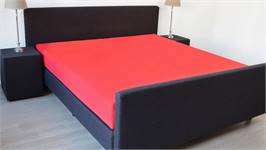 Snoozing drap-housse grand bonnet coton 57 fils