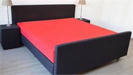 Snoozing drap-housse surmatelas percale