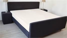 Snoozing drap-housse percale