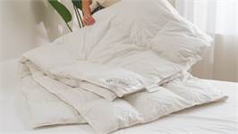Snoozing Olympus couette hiver duvet 
