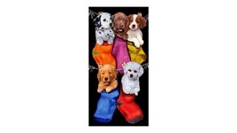 Puppies in socks serviette de plage
