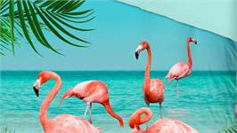 Pure Flamingo housse de couette