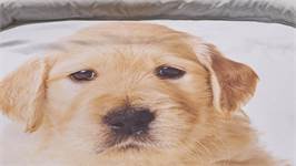 iSeng Chiot housse de couette