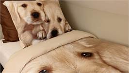 Snoozing Puppy Love housse de couette multicolore