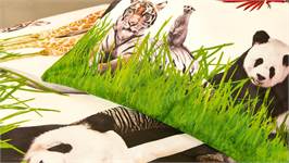 Snoozing Zoo housse de couette multicolore