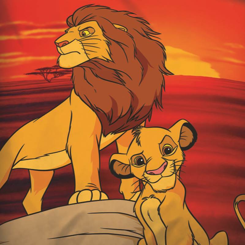 Disney Roi Lion housse de couette