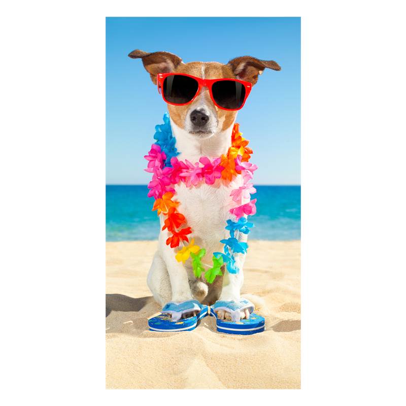 Good Morning Buddy serviette de plage