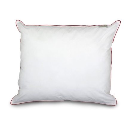 Snoozing Swiss Dreams oreiller synthétique medium