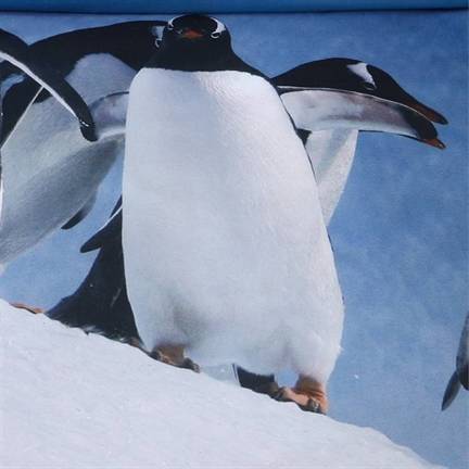 Ambiante Penguins housse de couette