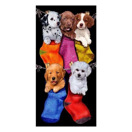 Puppies in socks serviette de plage