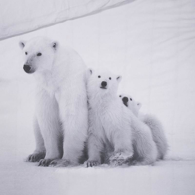 Approvisionne linge de lit ours polaire famille ours ours neige fourrure renforcé SoftTouch 