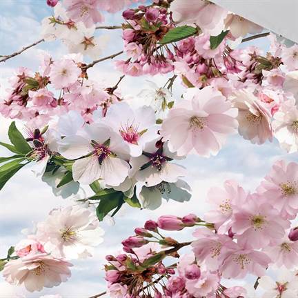 Snoozing Cerisier en Fleurs housse de couette en flanelle