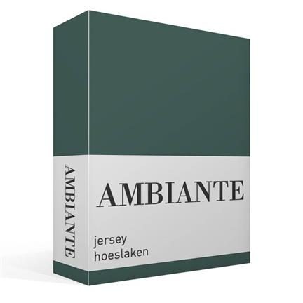 Ambiante drap-housse jersey